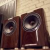 Premium Isoflare Fyne Audio F700 speakers