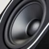 PMC prophecy5 bass driver