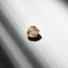 Gold Note Donatello Gold MC-helipea